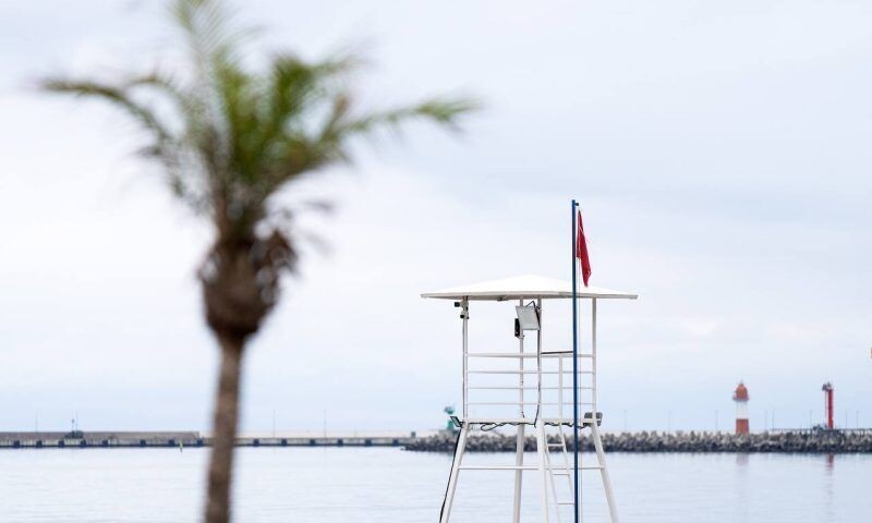    Фото пресс-службы администрации Сочи