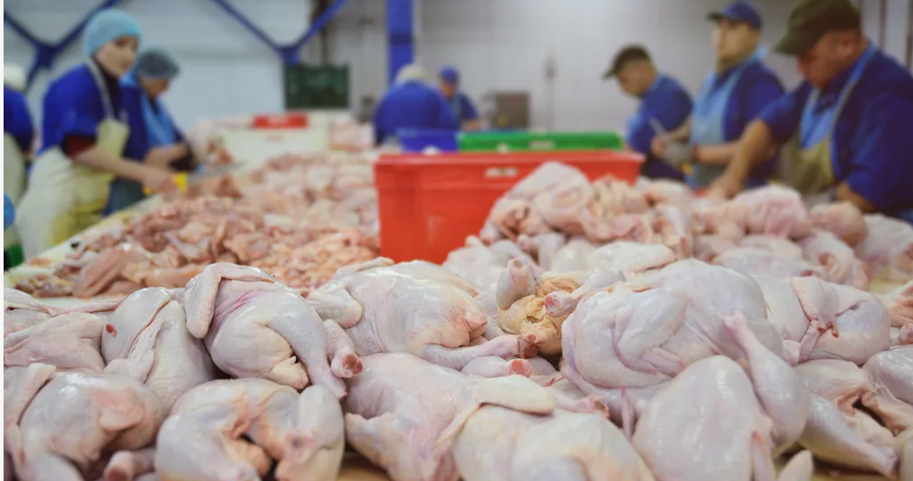 Что такое мясо птицы мехобвалки