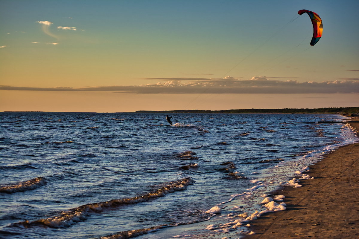 Фото для карточки. Фото автора. Северодвинск, июнь 2022