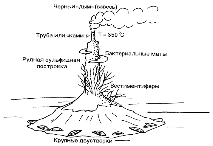 Строение гидротермального источника