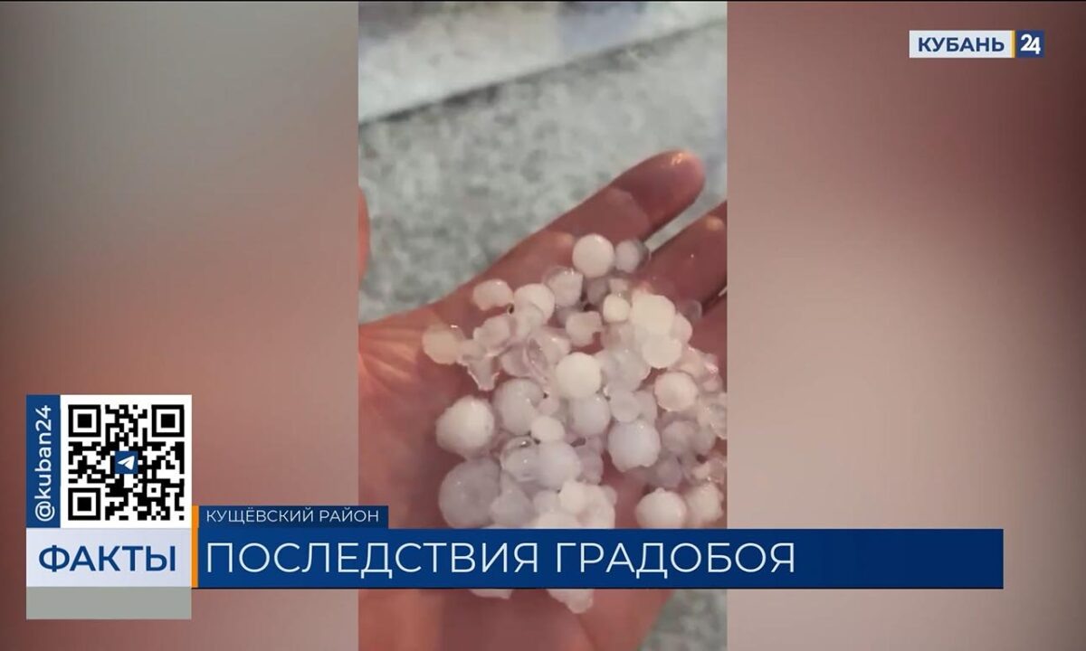    Видео канала «Кубань 24»