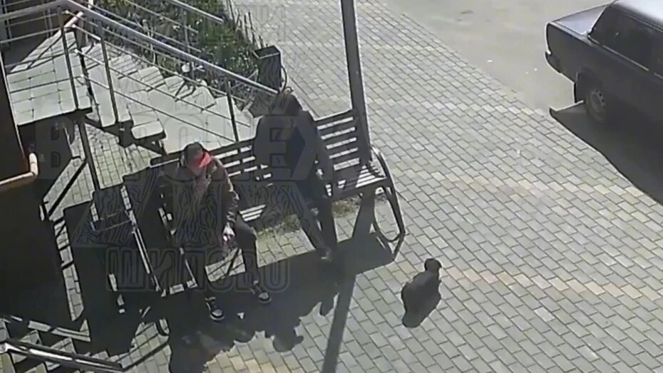 Жестокие издевательства над щенком попали на видео в Воронеже