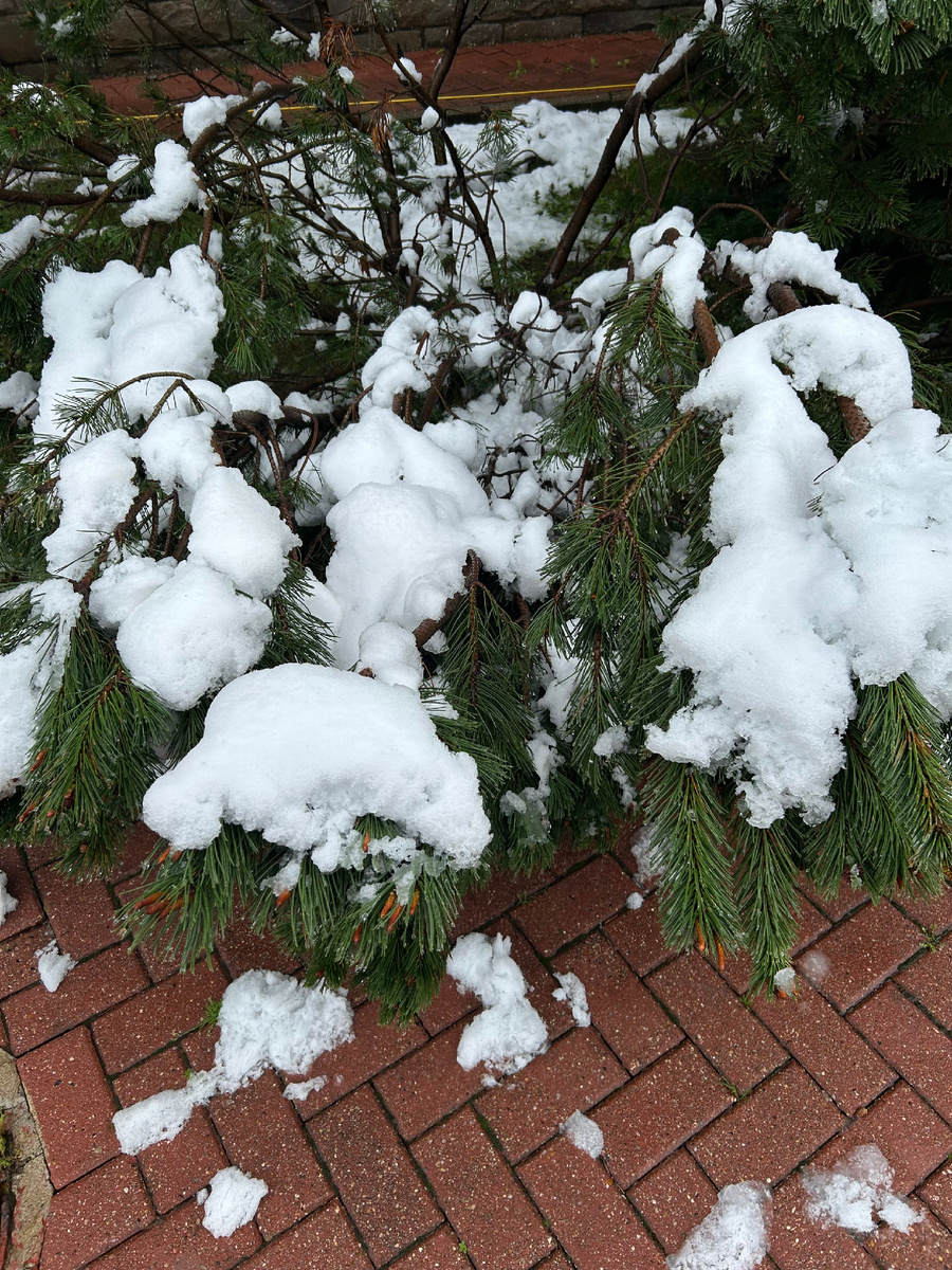 Вот сколько снега. Фото автора 