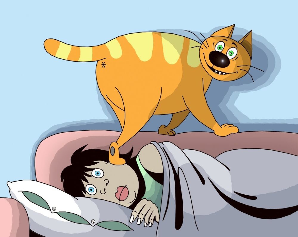 КАРИКАТУРА ОТ ХУДОЖНИКА- КАРИКАТУРИСТА СЕРГЕЯ КОРСУНА ИЗ ЕГО СЕРИИ " БЕЗ КОТА ЖИЗНЬ НЕ ТА!"