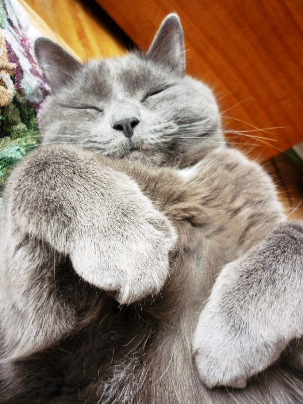 Максюша уже 10 дней как на радуге