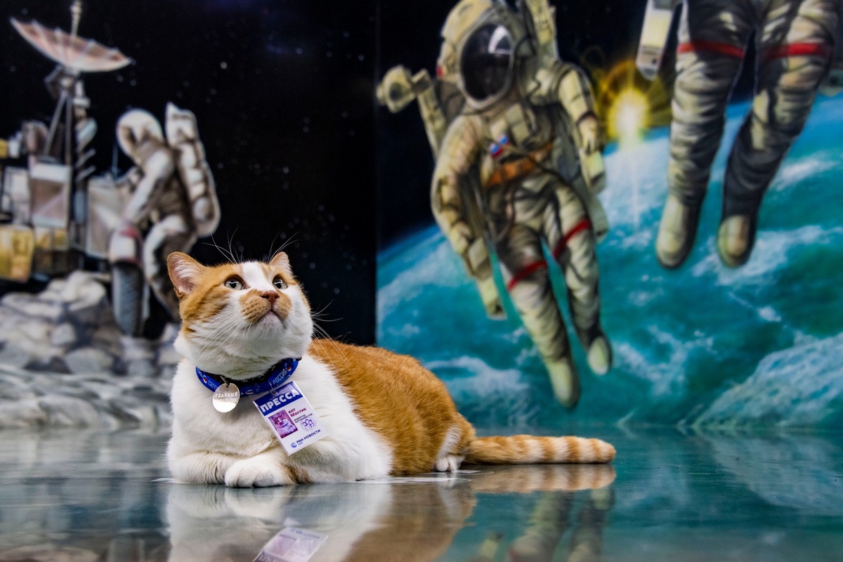 Если бы не журналистика, то подался бы в космонавты.