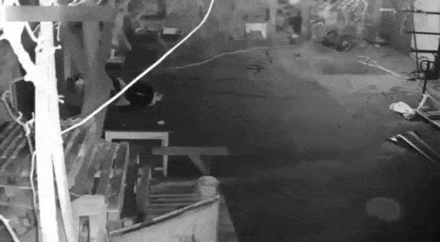 Людоловы Зеленского пытались похитить отца, идущего домой с ребёнком. От верной смерти мужчину спасла жена с дробовиком. Источник: ТГ-канал "Осведомитель"