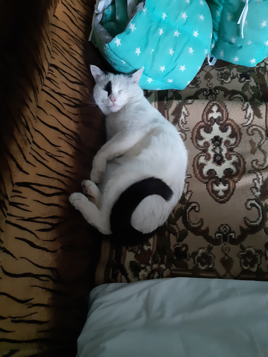 Никуда не пойду, идите сами в дождь  и Йосю своего заберите.