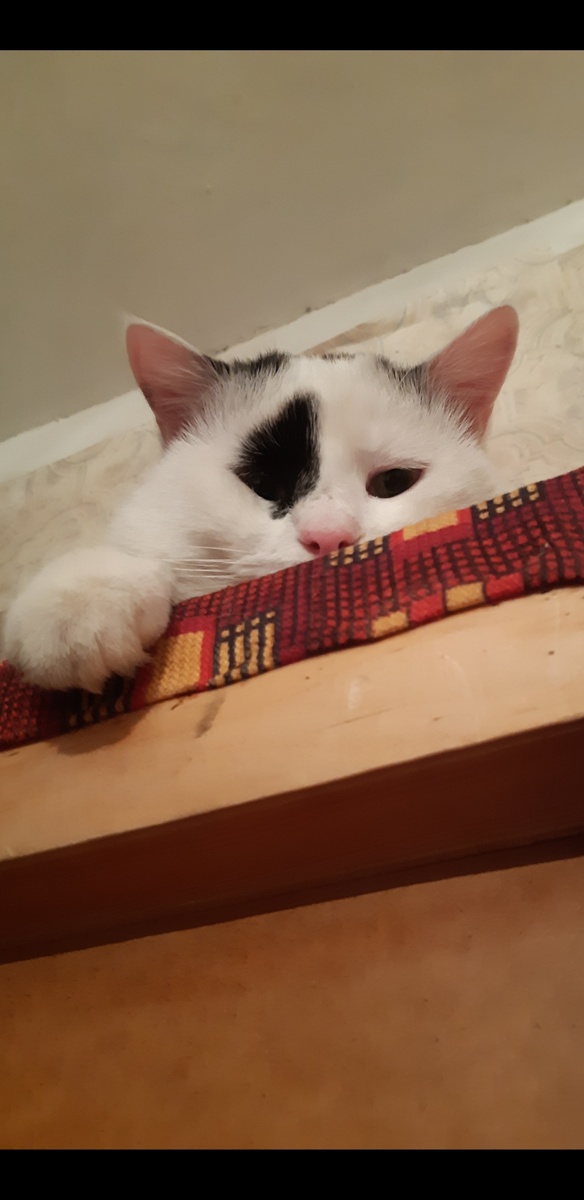 Вставайте!  Уже 4 утра, там Йося к рассаде подбирается.