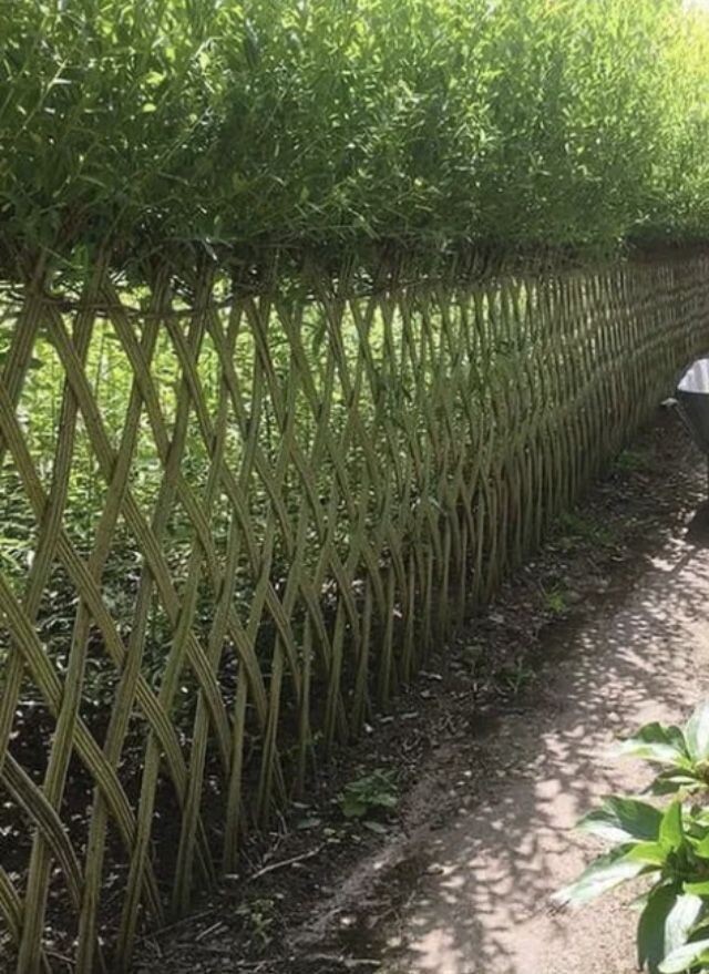 Примерно такую, ну, или, что получится.