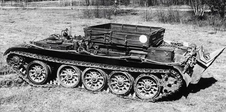 фото из интернета.