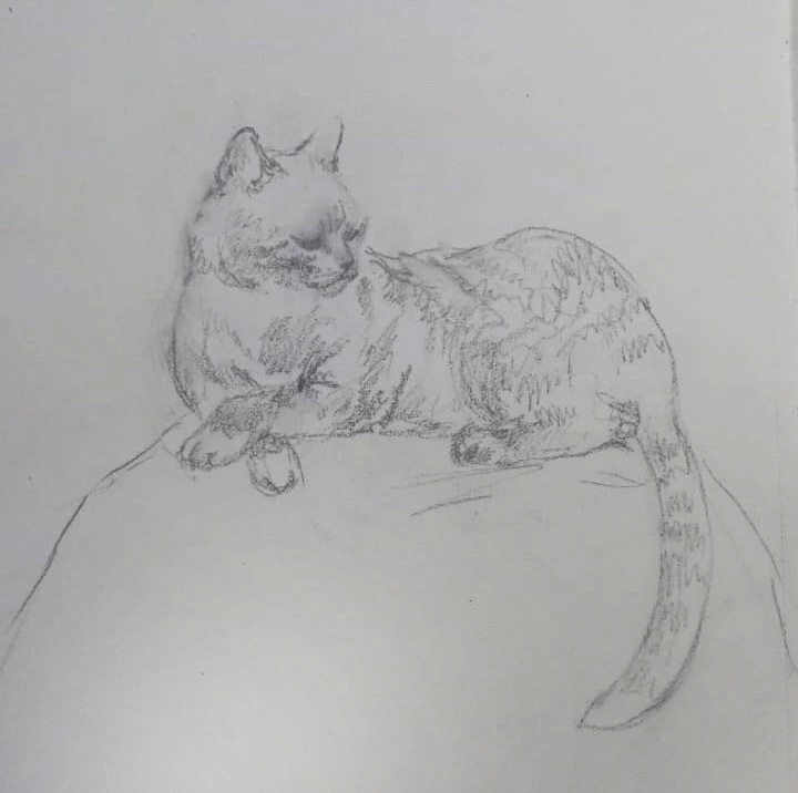 Фото из группы ВК Выборгского замка