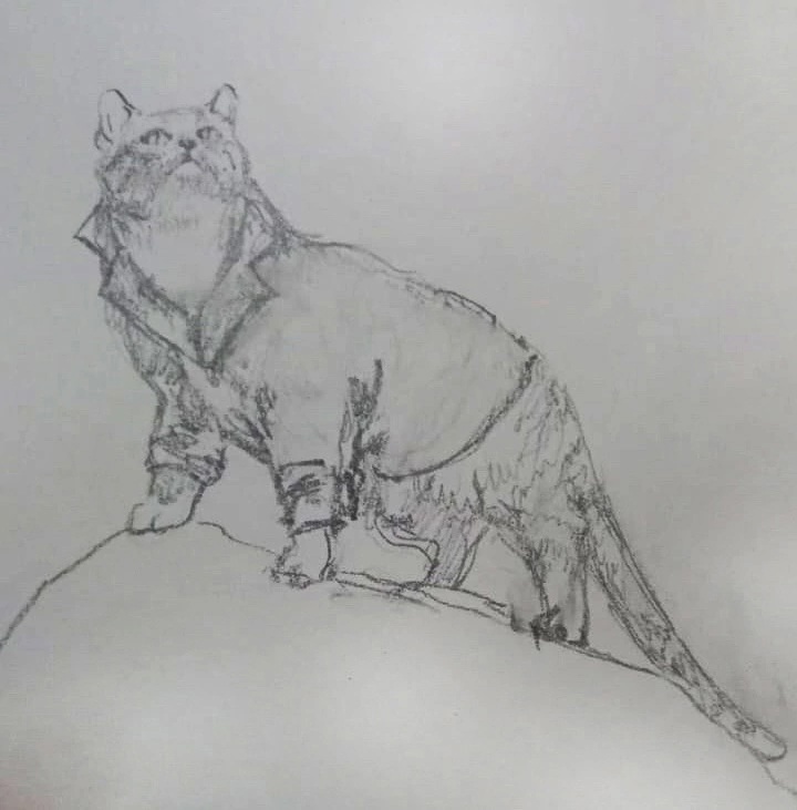 Фото из группы ВК Выборгского замка