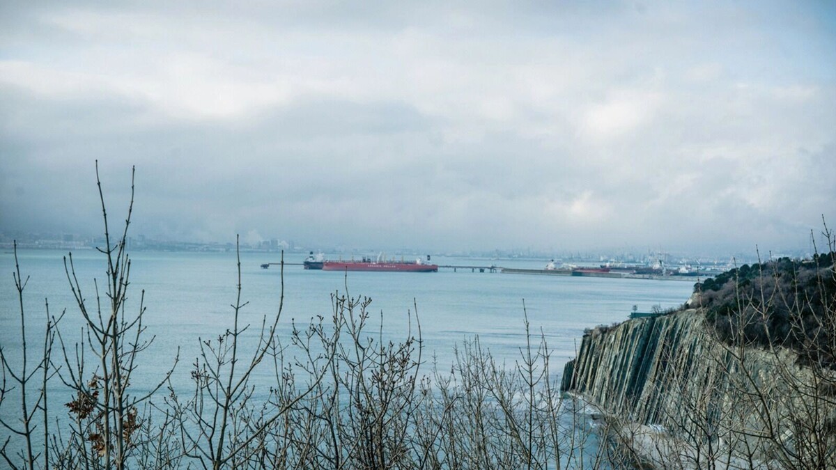     Автор: KubanPress