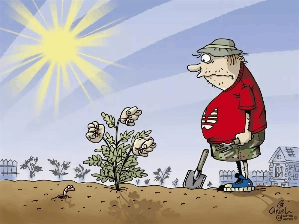 Картинка из интернета