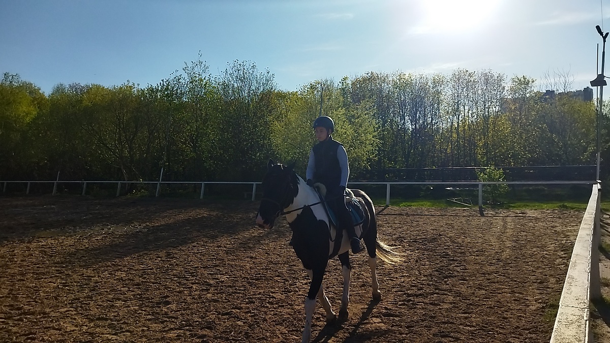 Я в Провансе