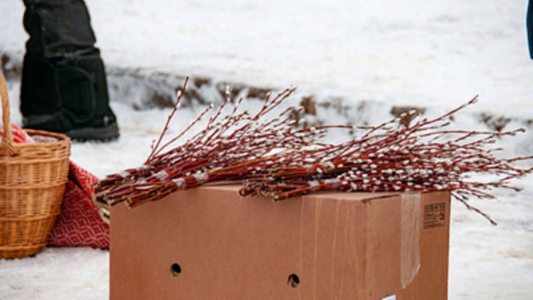    Фото: Svetlana Vozmilova/Globallookpress