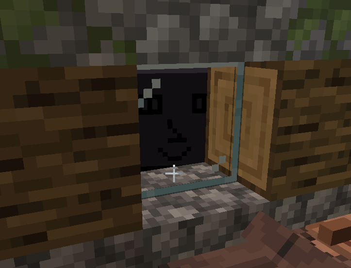 Он смотрел мне в глаза через окно...