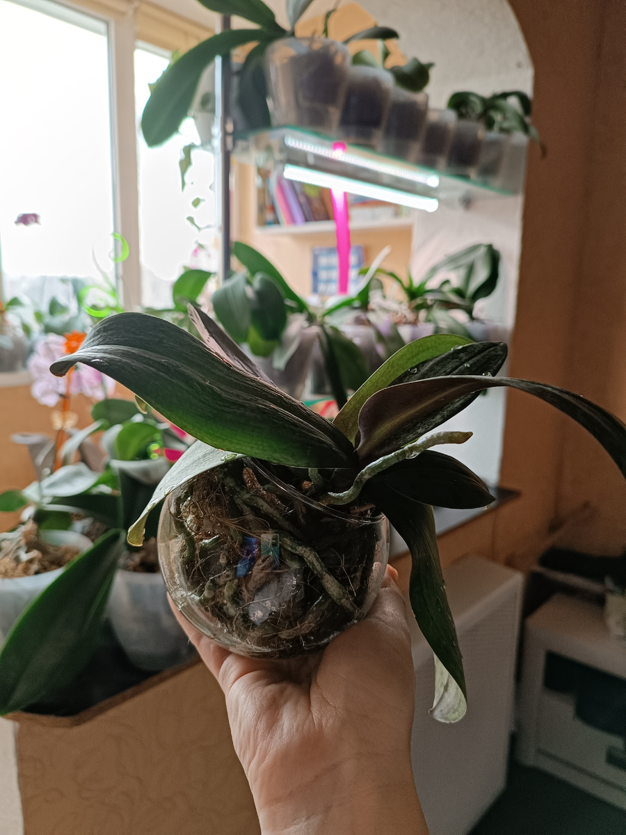 Обложка статьи. Как все успевать - вопрос насущный