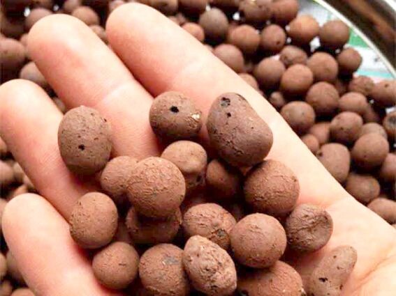 Керамзмзит в натуре