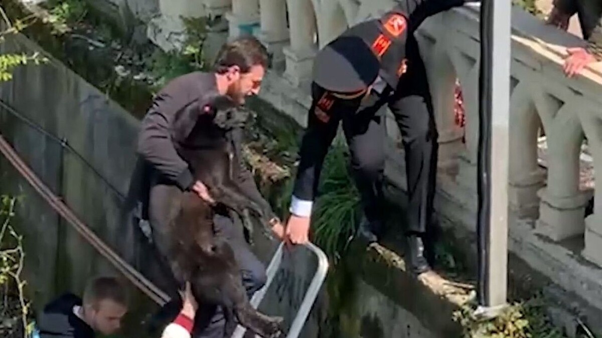    Фото: t.me/krasnodarkray1