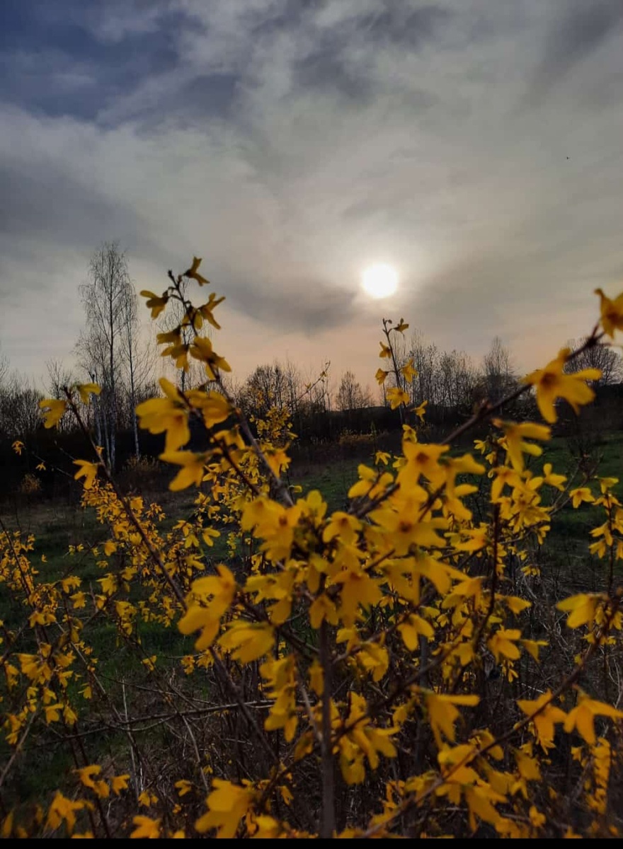 Автор А. Закопкина