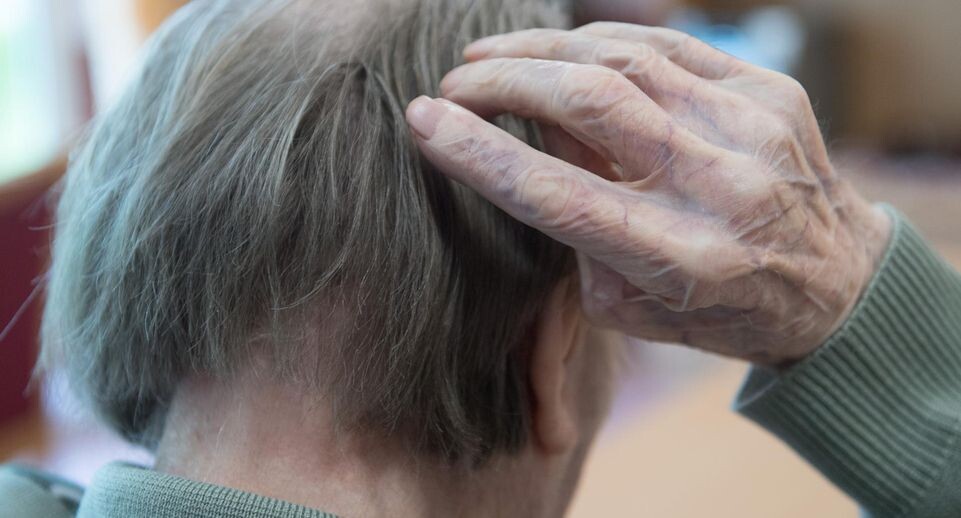    Sebastian Kahnert/dpa / www.globallookpress.com