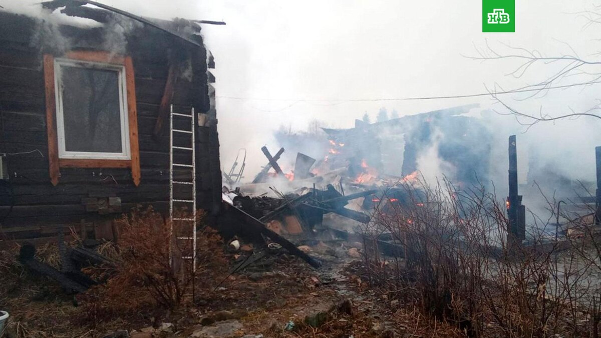    Фото: КГКУ "Противопожарная охрана Красноярского края" / vk.com