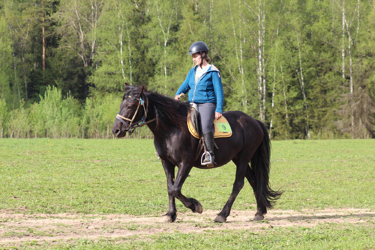 Маша Гроховская на соревнованиях Открытого Кубка Москвы по конному туризму, 2017