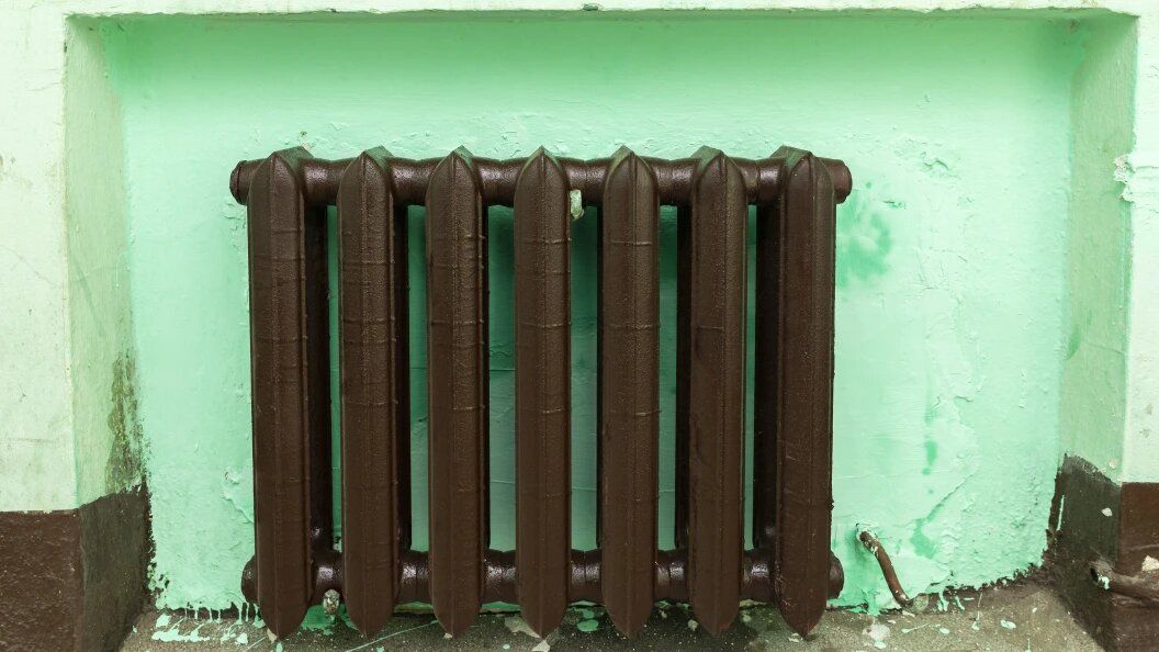    Фото: Aleksey Smyshlyaev/Global Look Press