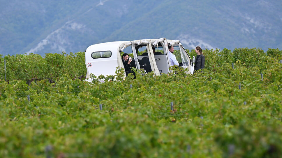 Фото: Ирина Бужор / Коммерсантъ
