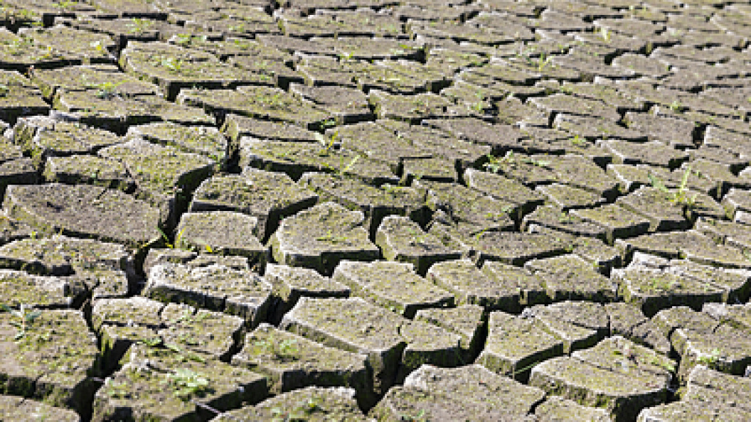    Aleksey Smyshlyaev/Globallookpress