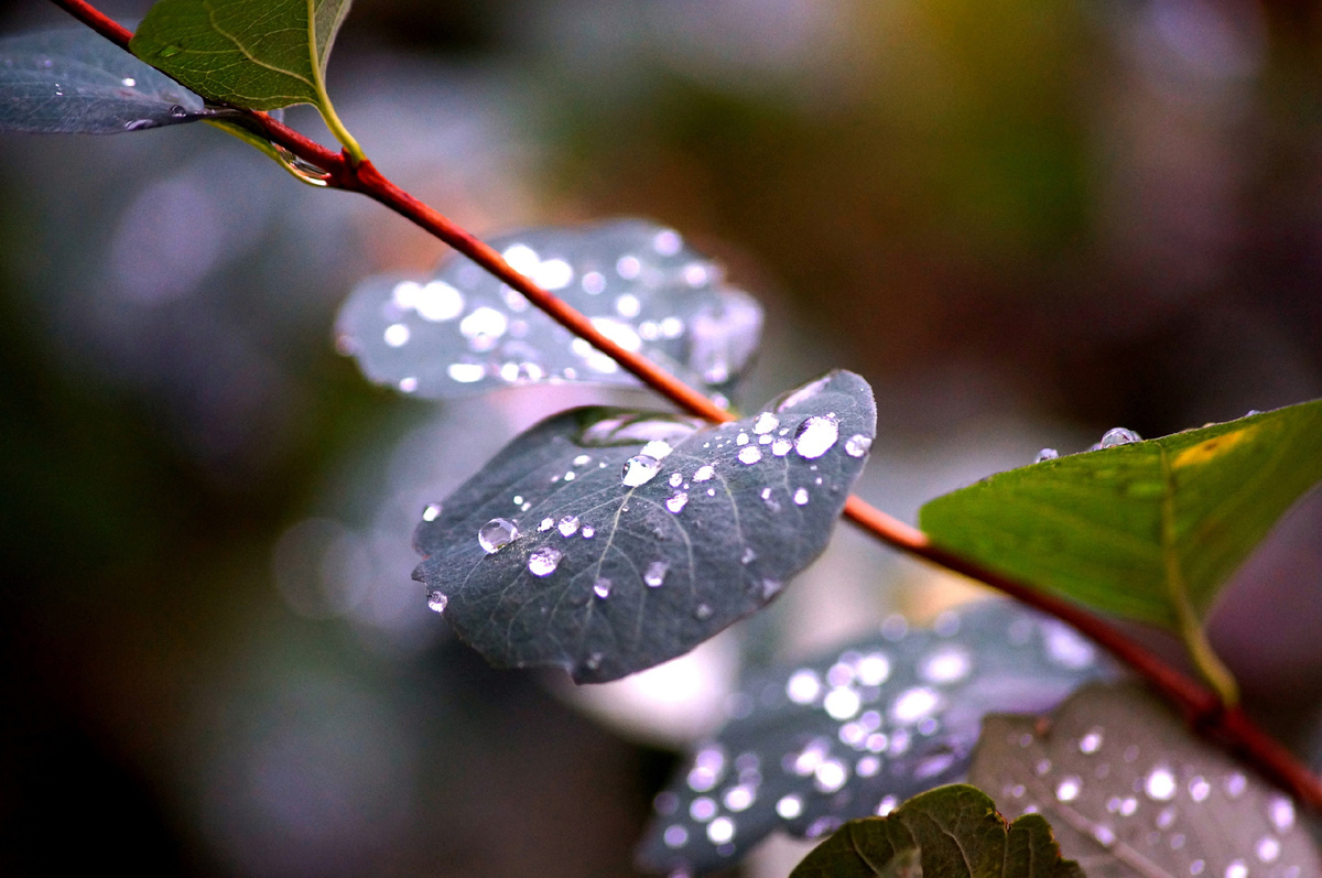 Все фото авторские. 