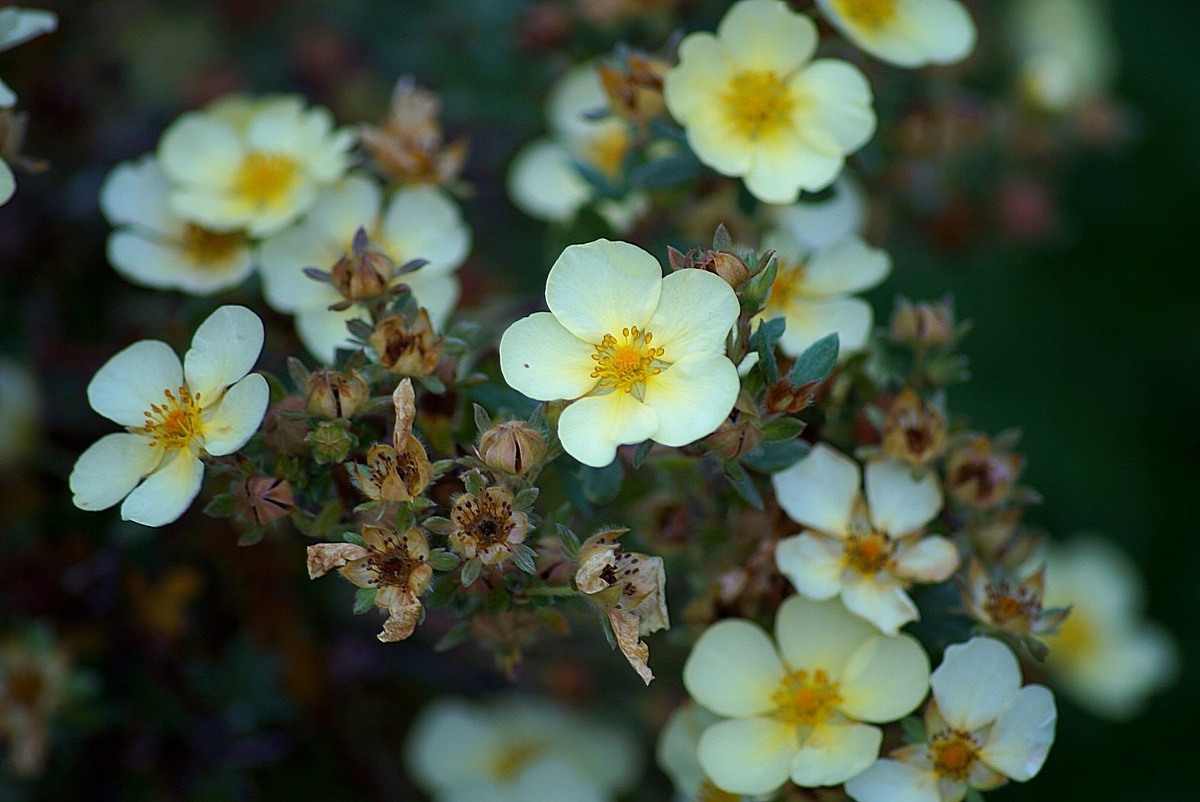 Все фото авторские. 