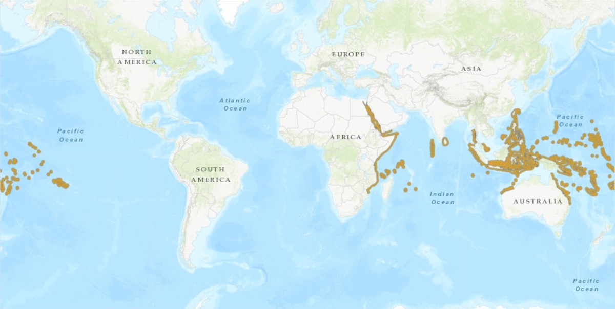 Ареал обитания Bolbometopon muricatum