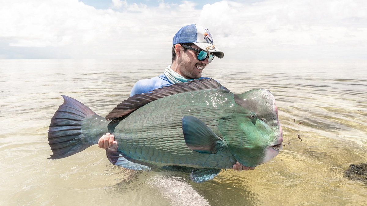 Фото взято с сайта https://alphonsefishingco.com/