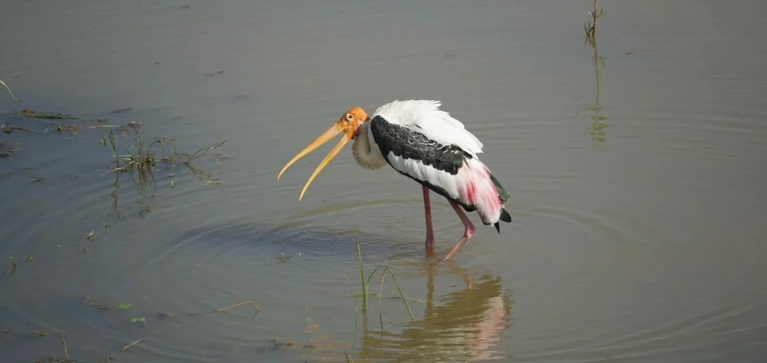 Один в поле воин.