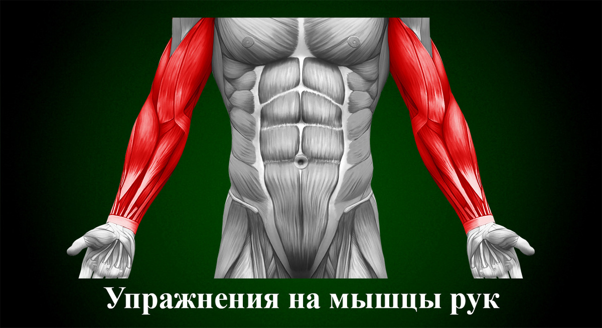 Упражнения на мышцы рук