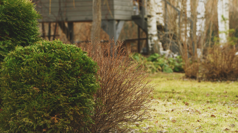   Gettyimages.ru Adam Hunger
