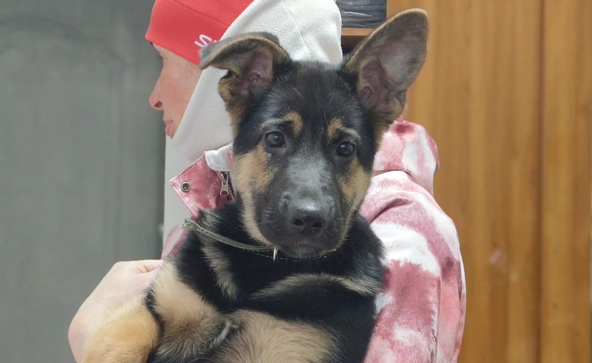 Готова часами сидеть на руках. 