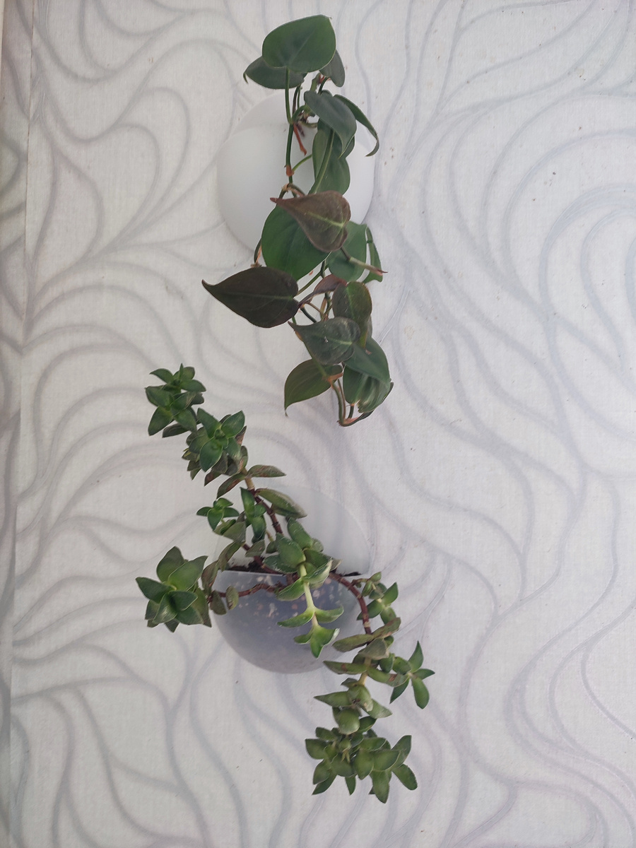 Очень понравились эти каш по, удобные