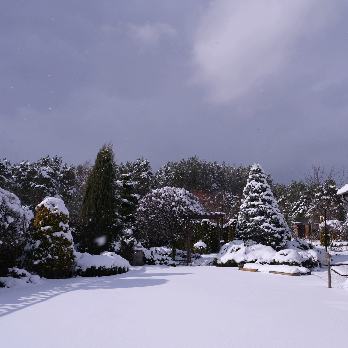 Немного зиммей драмы в апреле