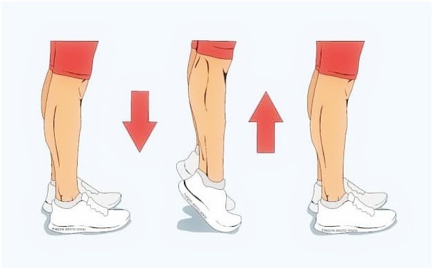 Микулин называл это «внутренним массажем» – ведь при ходьбе или беге мы не прорабатываем сосуды так глубоко.
