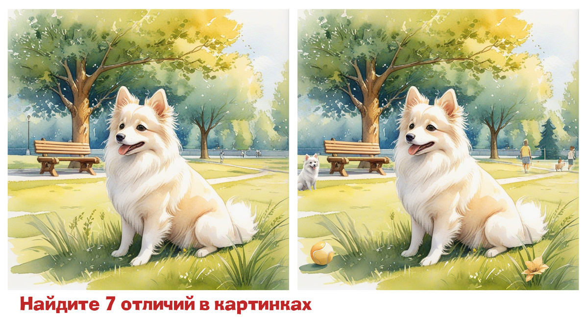 Название породы: Японский шпиц