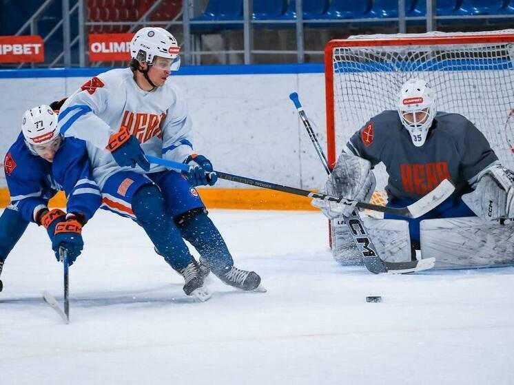     Фото: Телеграм-канал команды ВХЛ «СКА-Нева»