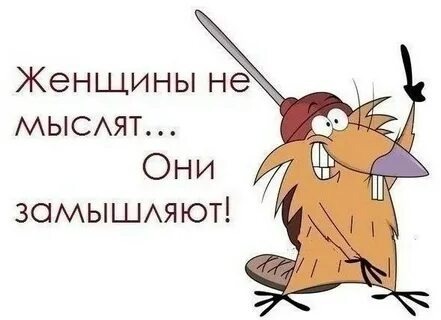 Яндекс. Картинки