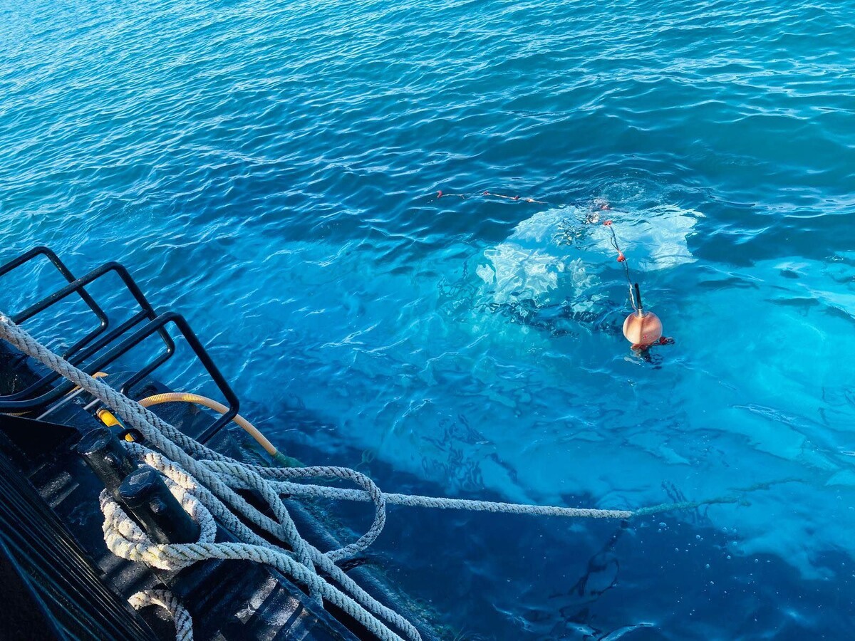    Поисково-спасательная операция на месте крушения батискафа «Синдбад» / Источник: © Ali Awad/XinHua/Global Look Press