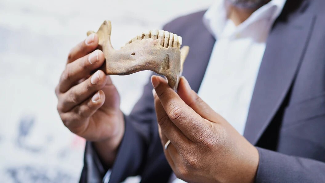    Uwe Anspach/dpa/Globallookpress