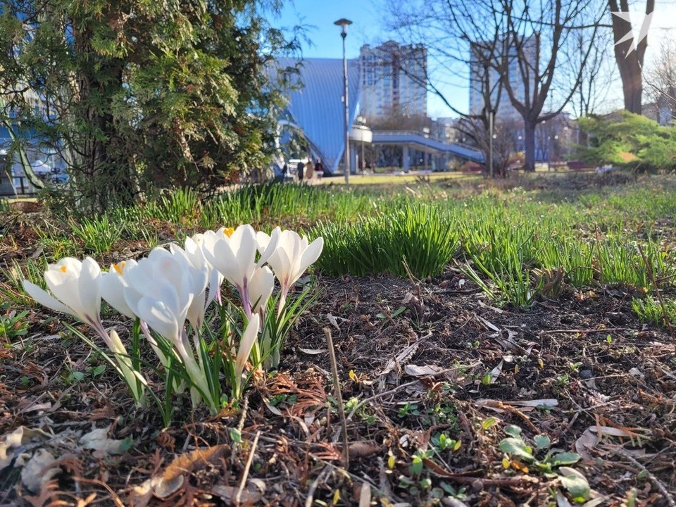    Назвали 10 вакансий с самой высокой зарплатой в Беларуси в апреле 2025. Фото: архив.