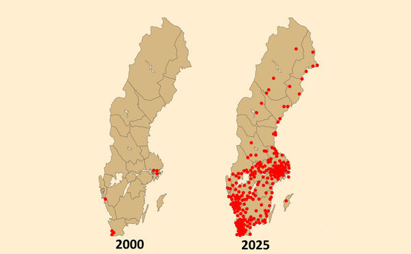    Шокирующие цифры: за 25 лет количество мечетей в Швеции выросло на 4200 процентов